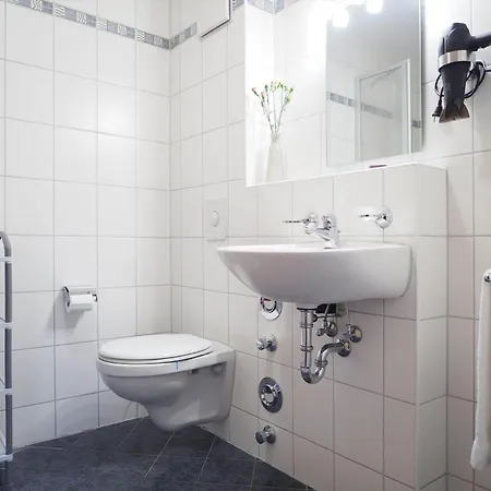 Alte Reihe 10 - Silbermoewe 1 *