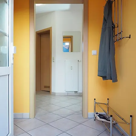 Alte Reihe 10 - Silbermoewe 1