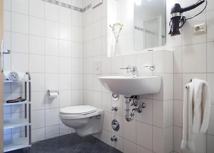 Alte Reihe 10 - Silbermoewe 1 *