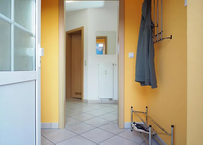 Alte Reihe 10 - Silbermoewe 1